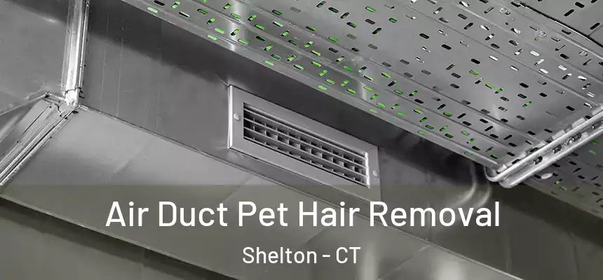  Air Duct Pet Hair Removal Shelton - CT