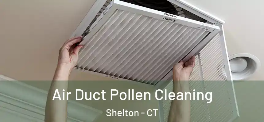 Air Duct Pollen Cleaning Shelton - CT