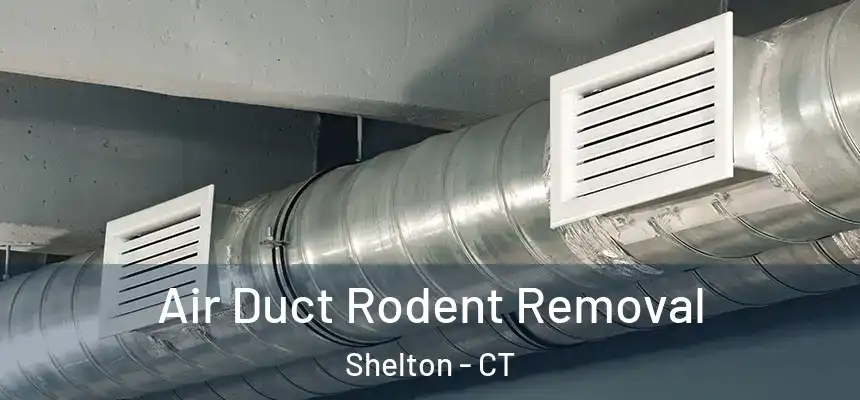  Air Duct Rodent Removal Shelton - CT