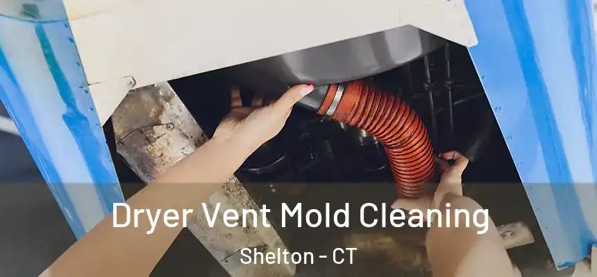 Dryer Vent Mold Cleaning Shelton - CT