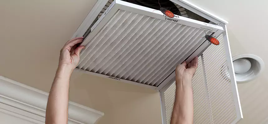 Preventive Cockroach-Proofing for Ducts in Shelton