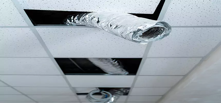 Our Air Duct Pet Hair Removal Services in Shelton, CT