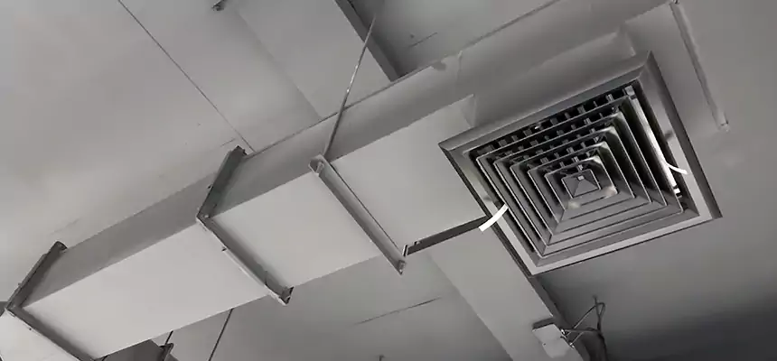 Our Rodent Droppings In Vents Services in Shelton, CT