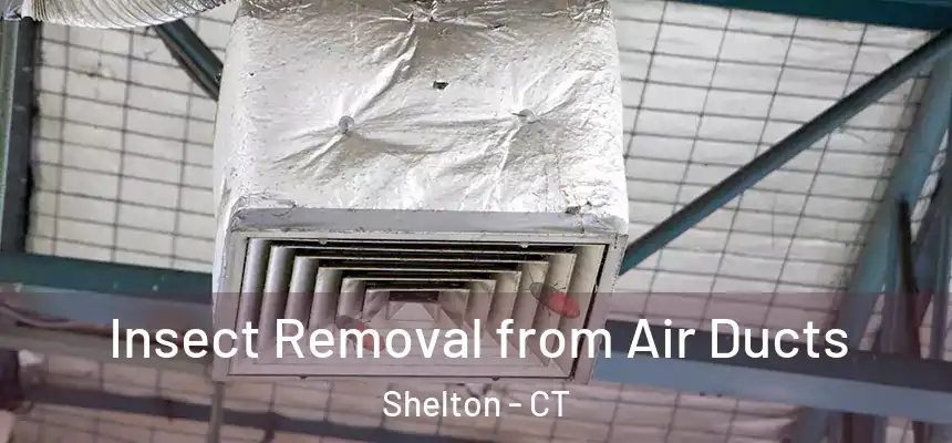  Insect Removal from Air Ducts Shelton - CT