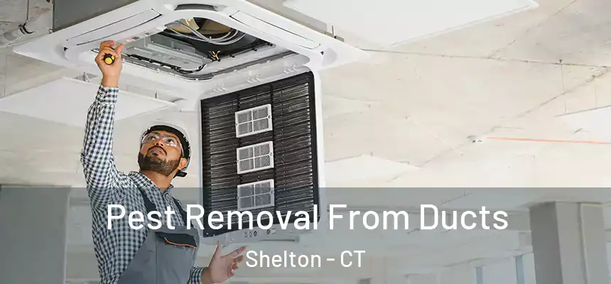  Pest Removal From Ducts Shelton - CT
