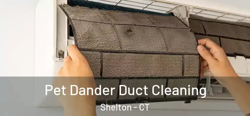 Pet Dander Duct Cleaning Shelton - CT