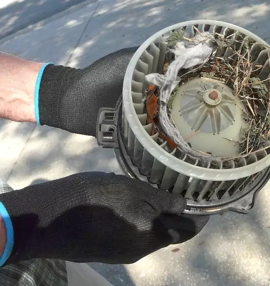 About Air Duct Rat Removal in Shelton, CT