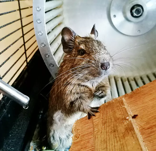 Why Homeowners & Businesses Trust Us Shelton, CT?