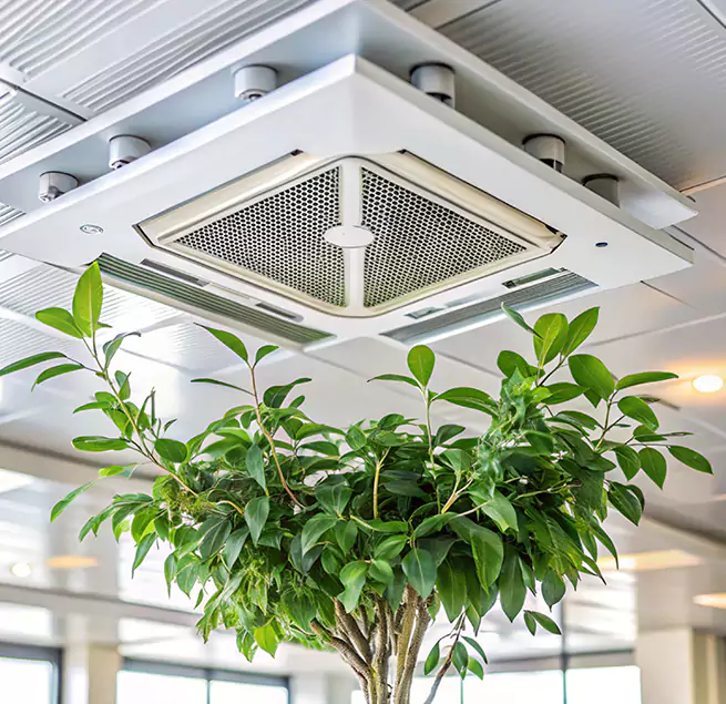 Why Homeowners & Businesses Trust Us in Shelton, CT?