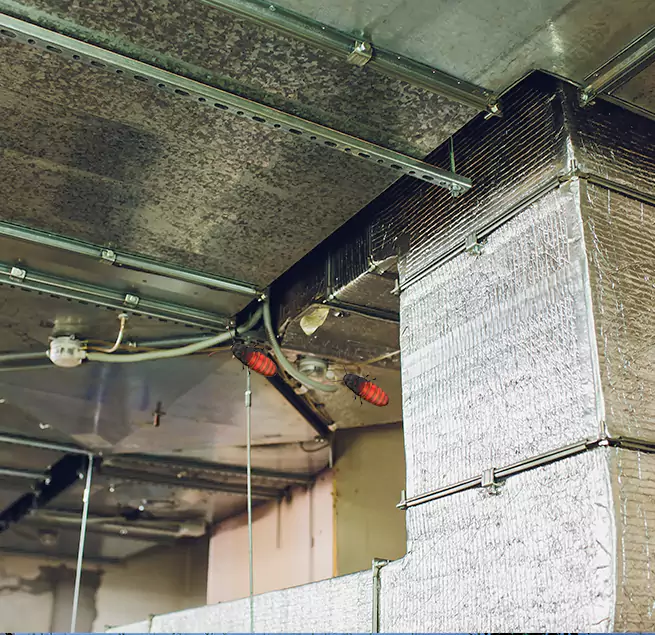 Why Homeowners & Businesses Trust Us Shelton, CT?