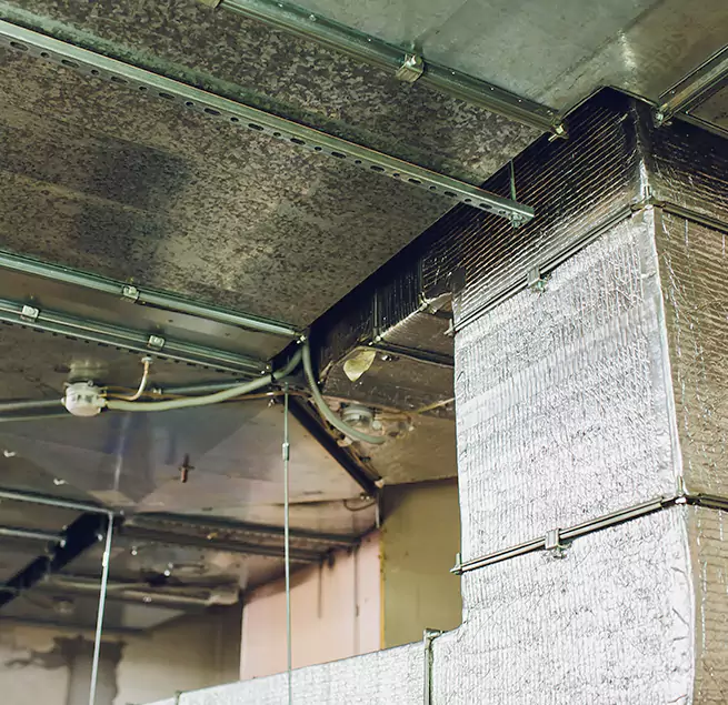 Why Homeowners & Businesses Trust Us in Shelton, CT?